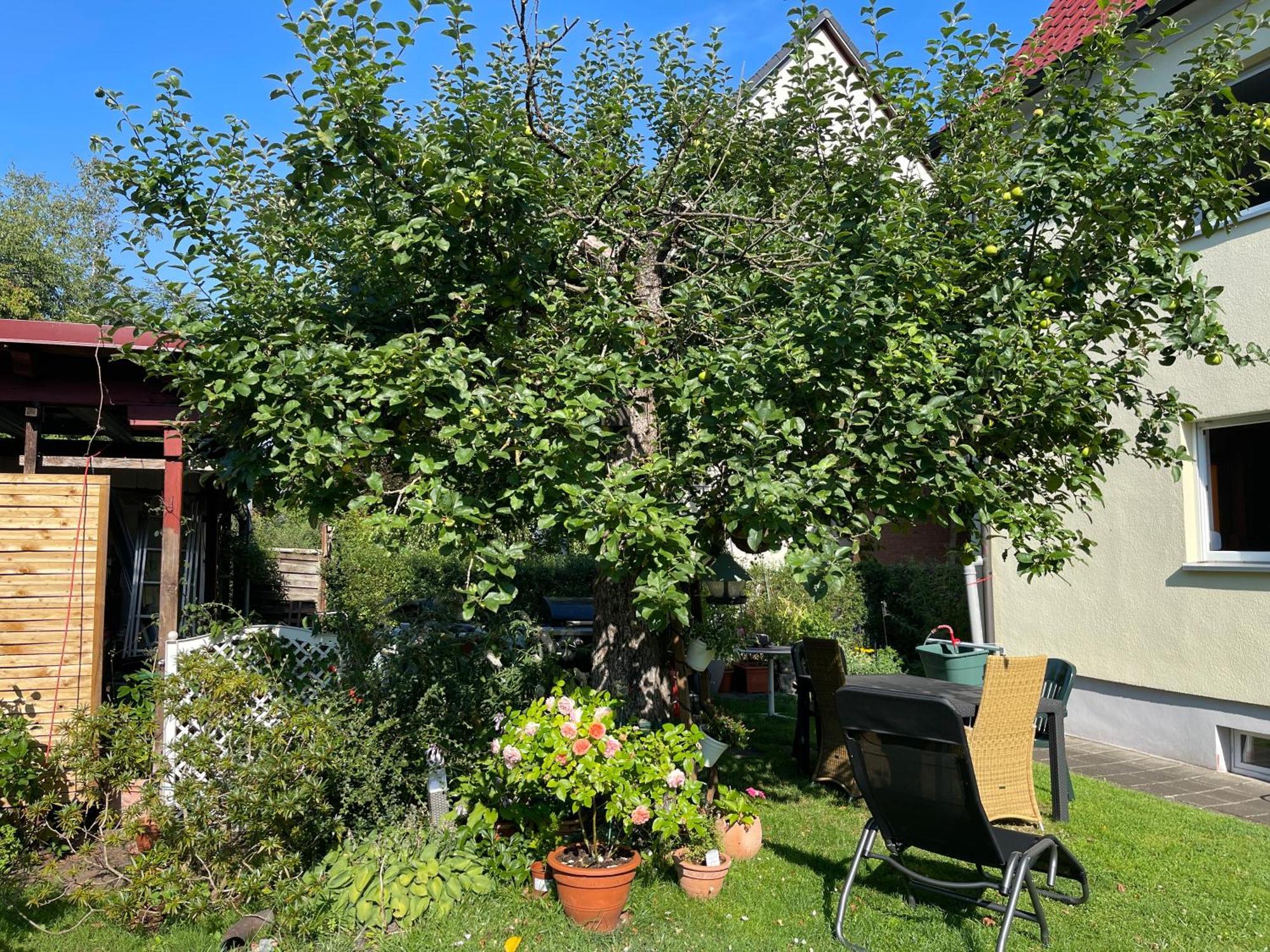 Claudias Apartment - 20 Minuten Bis Messe Nuernberg Εξωτερικό φωτογραφία